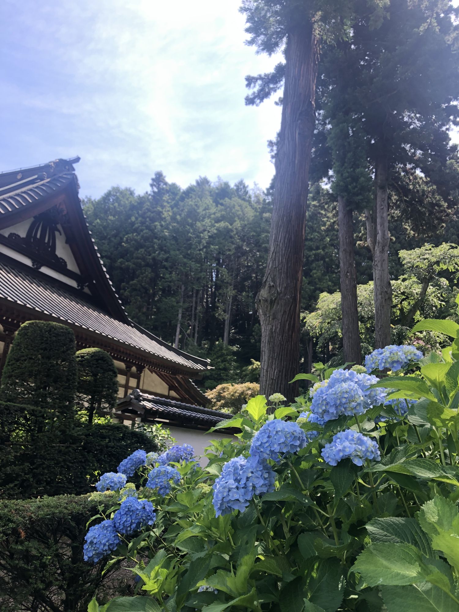 かえるの通り 第18回松本かえるまつり1日目 新まつもと物語