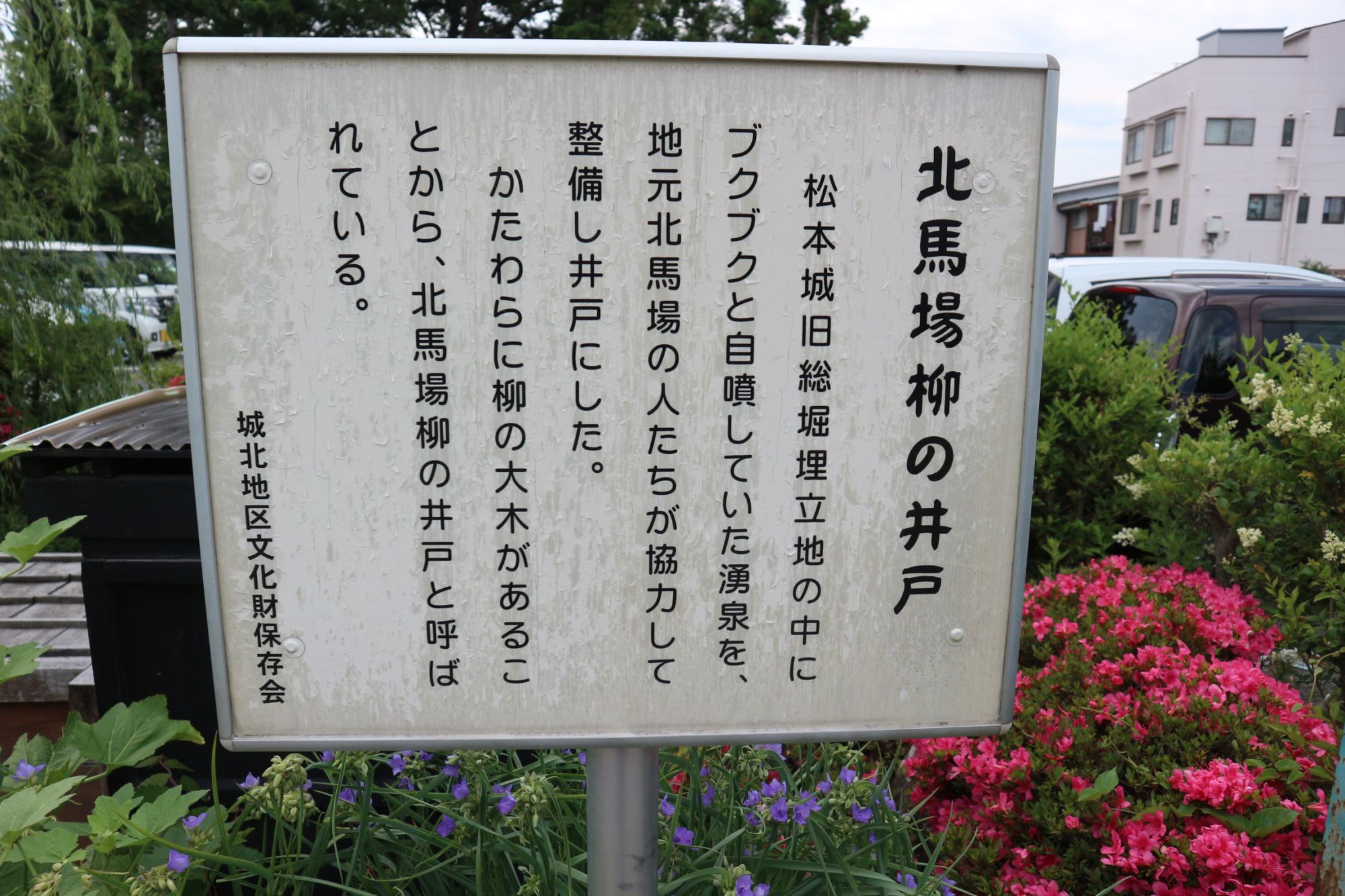 まつもと湧水巡り 北馬場 柳の井戸 新しい柳を発見 葵の井戸 お城の北の井戸 新まつもと物語