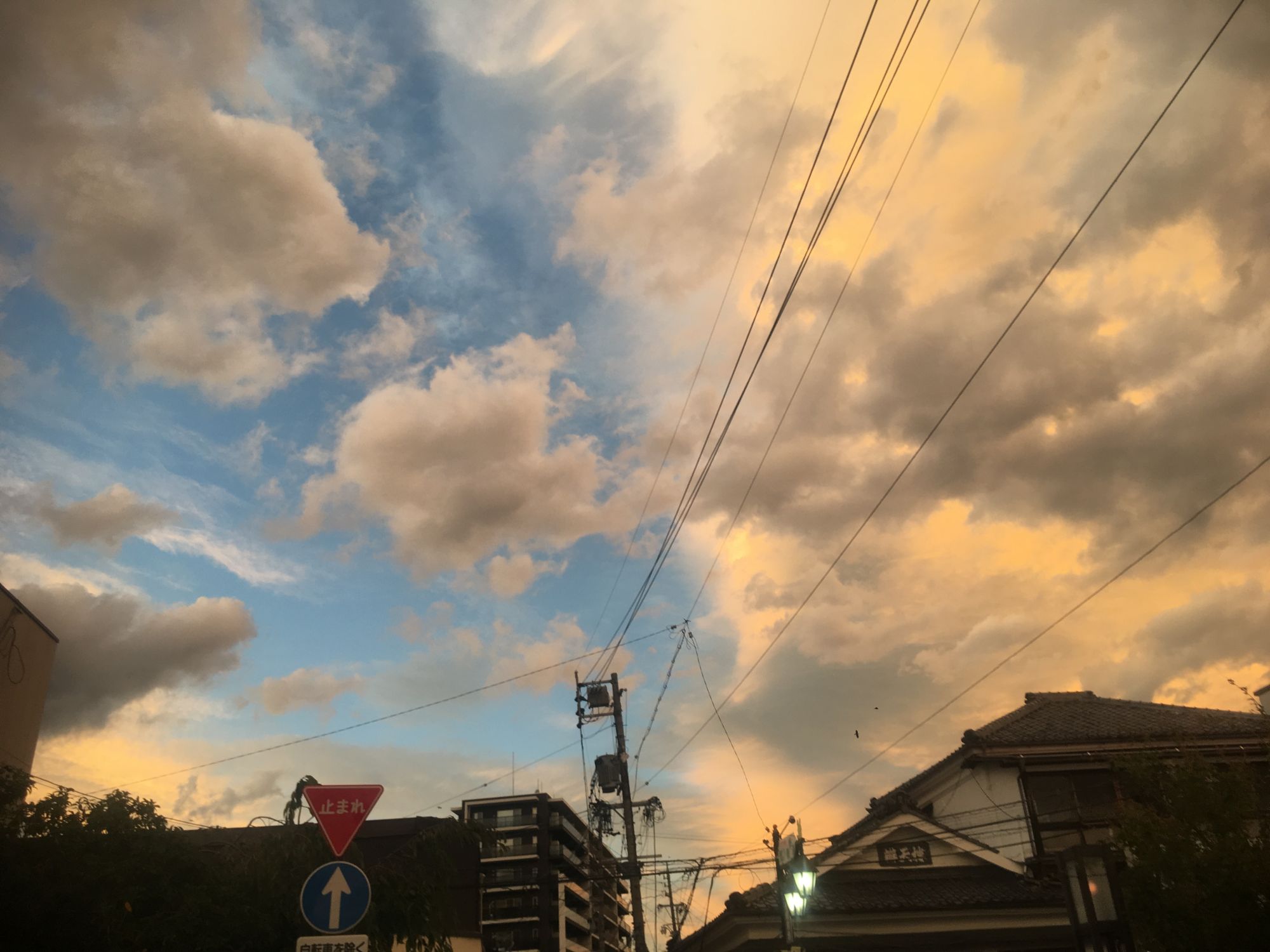 秋のスケッチ松本の空は綺麗だった 新まつもと物語