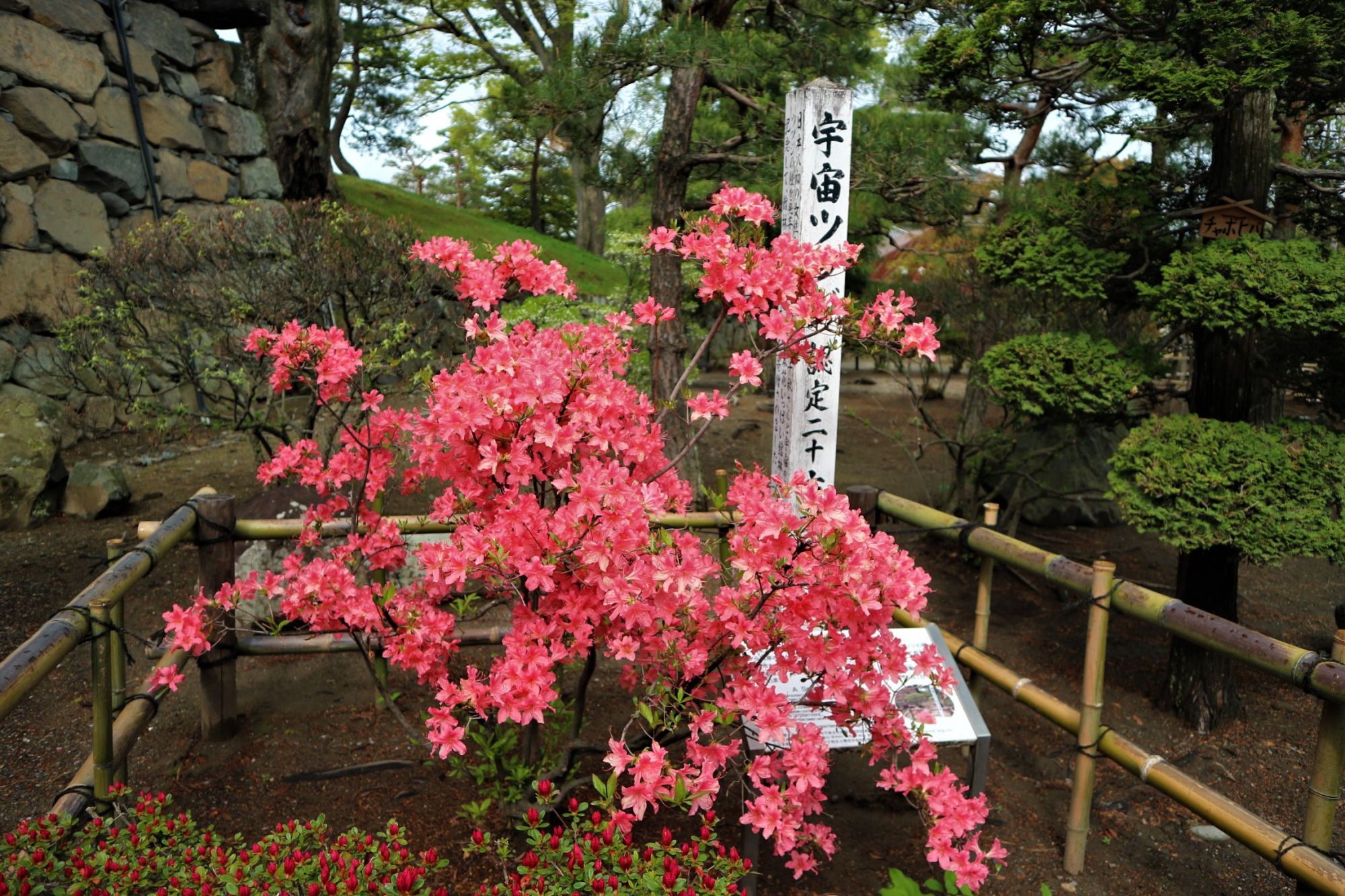 5月1日は松本市市制記念日 国宝松本城・松本市立博物館など市民