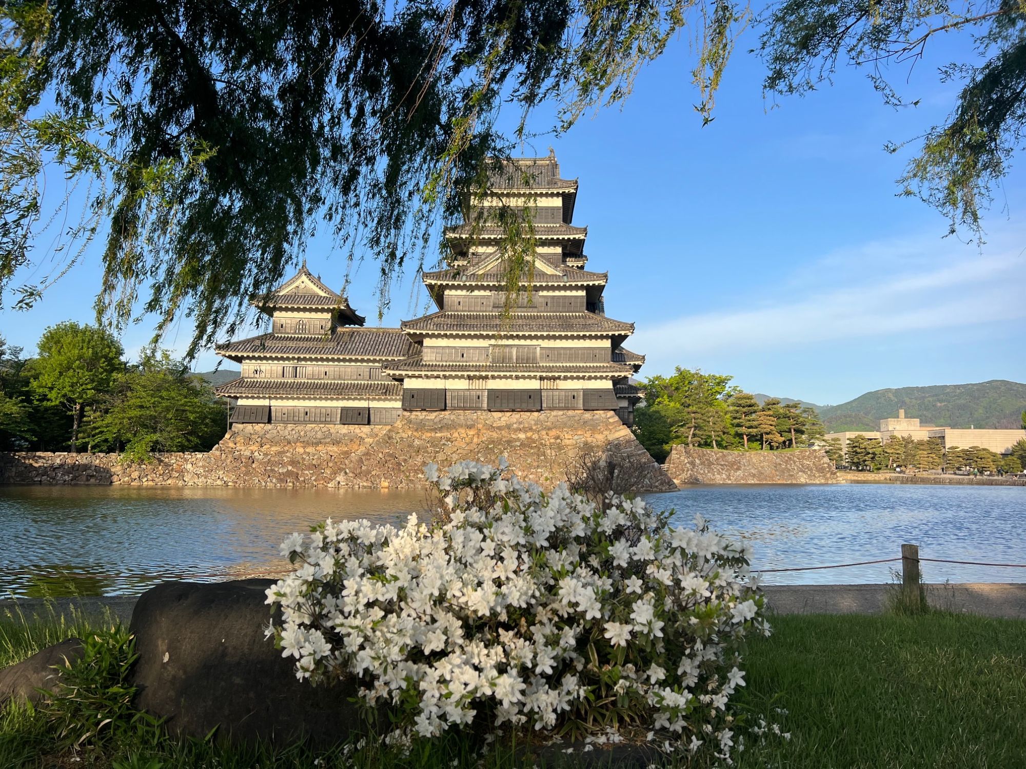 【2024A/W新作★送料無料】 五月晴れ夕暮れ時の松本城公園 | 新まつもと物語 絵画