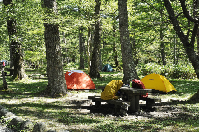 上高地　小梨平キャンプ場