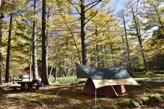 上高地　小梨平キャンプ場　紅葉