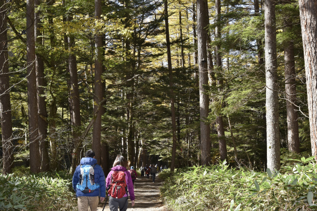 上高地　遊歩道