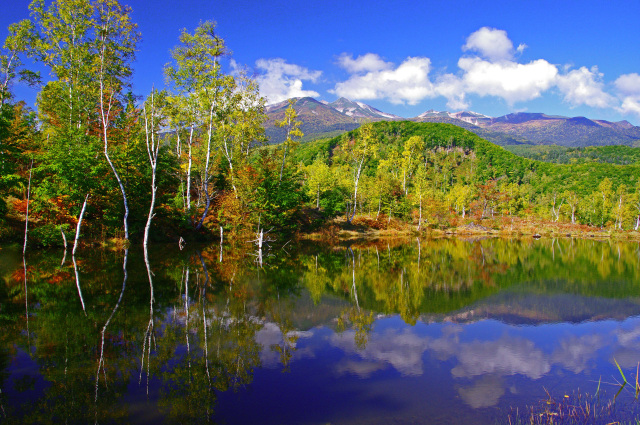 乗鞍　まいめの池　紅葉