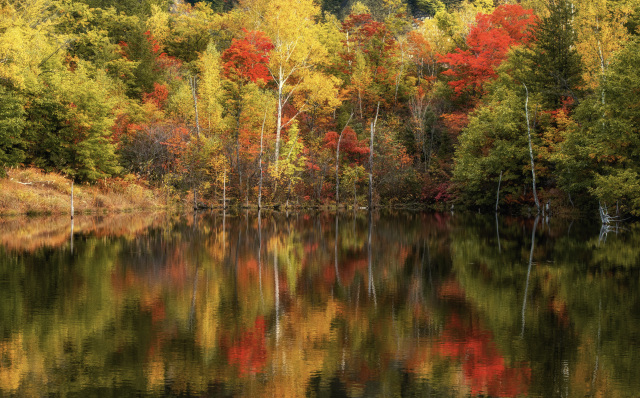 乗鞍　まいめの池　紅葉