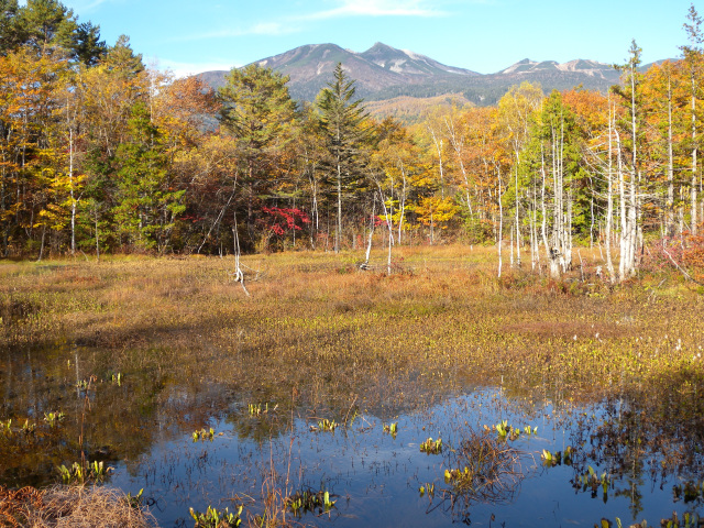 乗鞍　どじょう池