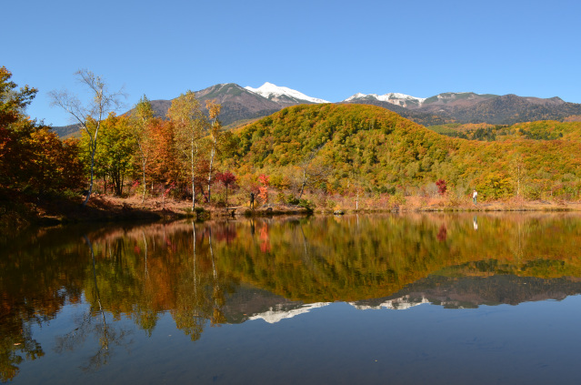 乗鞍　まいめの池　紅葉