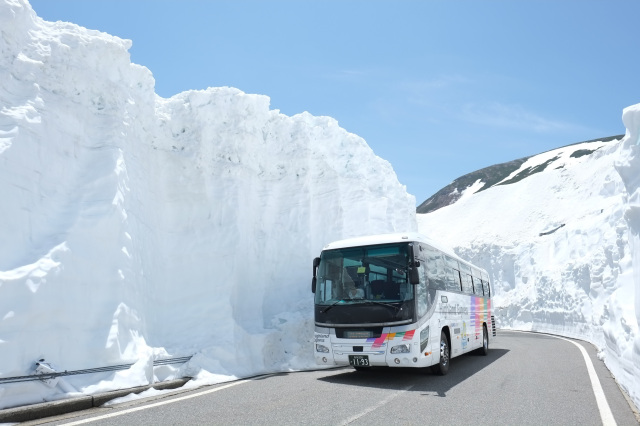 乗鞍　雪の壁　春山バス