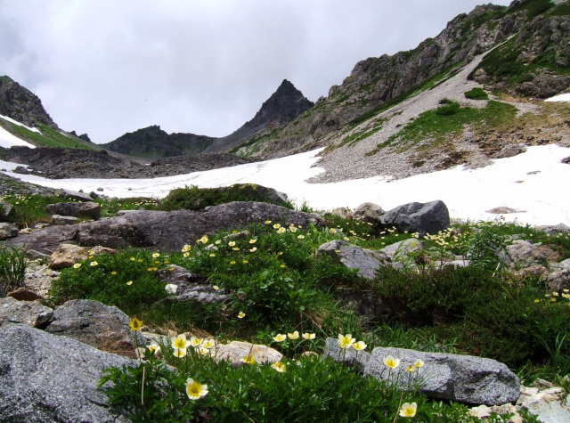 槍ヶ岳　登山道から