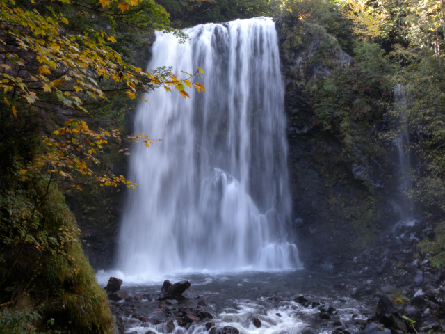 乗鞍　善五郎の滝　紅葉