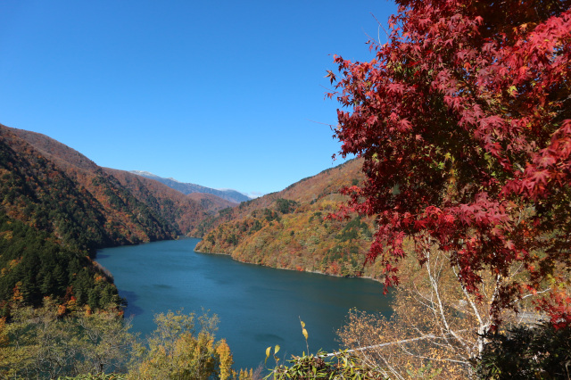 奈川渡ダム　紅葉１