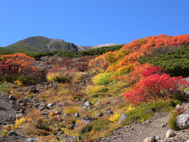 乗鞍岳　紅葉