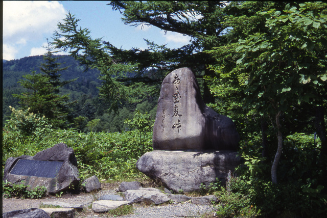 奈川　野麦峠石碑