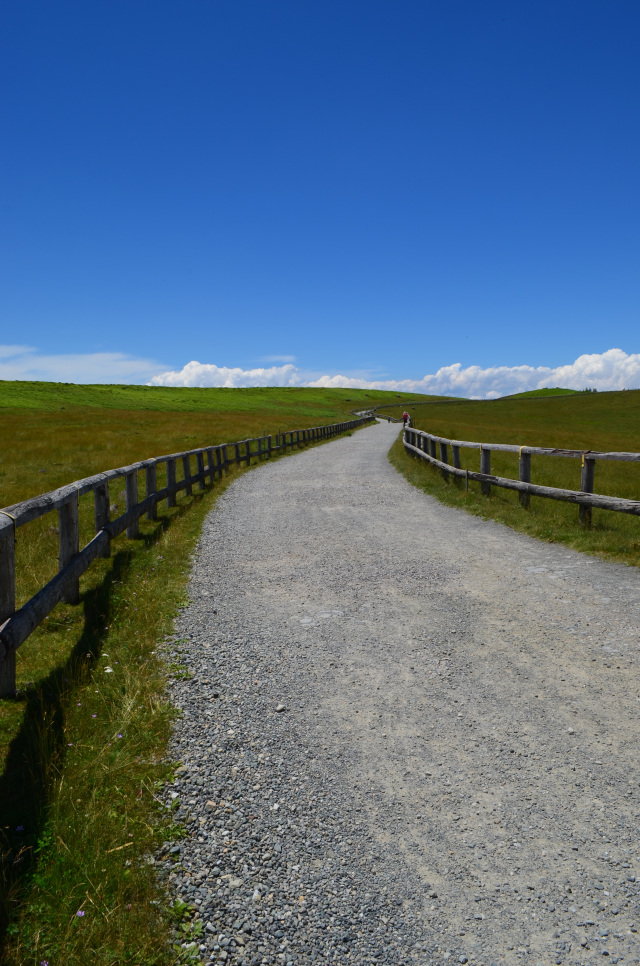 美ヶ原高原　遊歩道