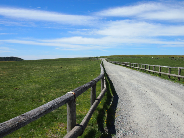美ヶ原高原　遊歩道