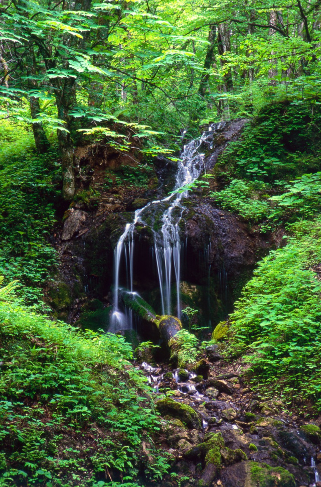 白骨温泉　竜神の滝