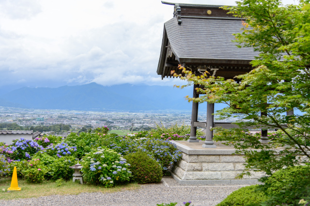 法船寺　紫陽花