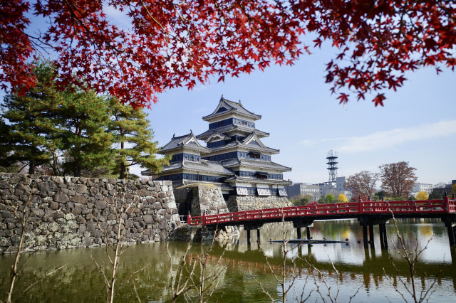 松本城　紅葉