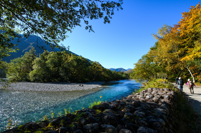 上高地　遊歩道