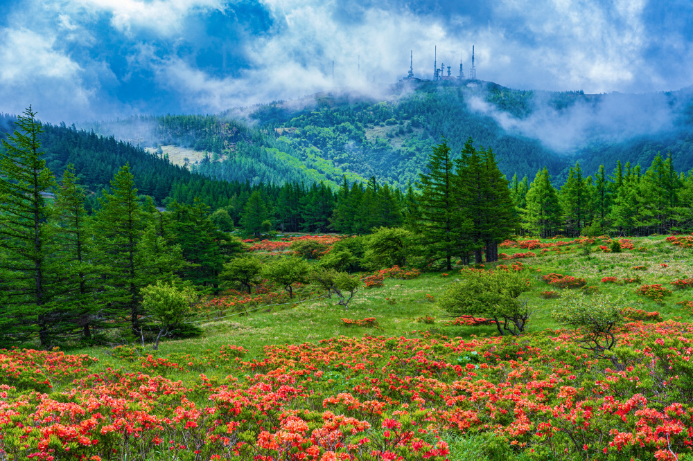 [ Undefined: article-img-alt ]