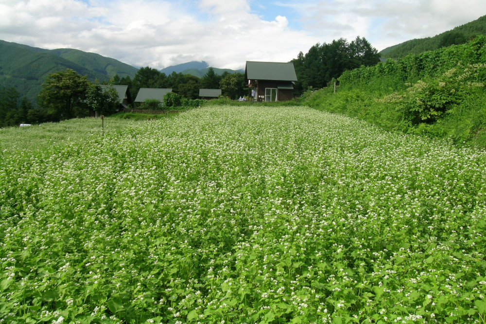 [ Undefined: article-img-alt ]