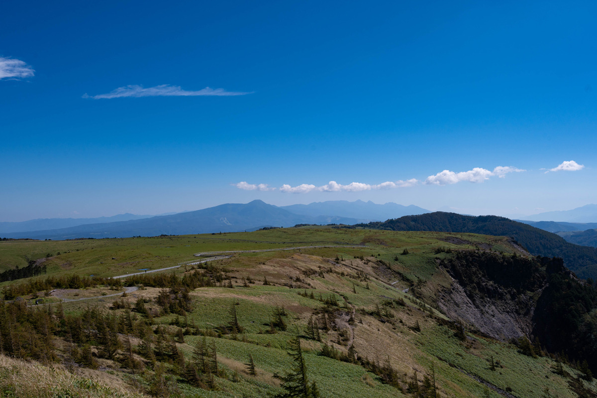 Discover unique highland plants.