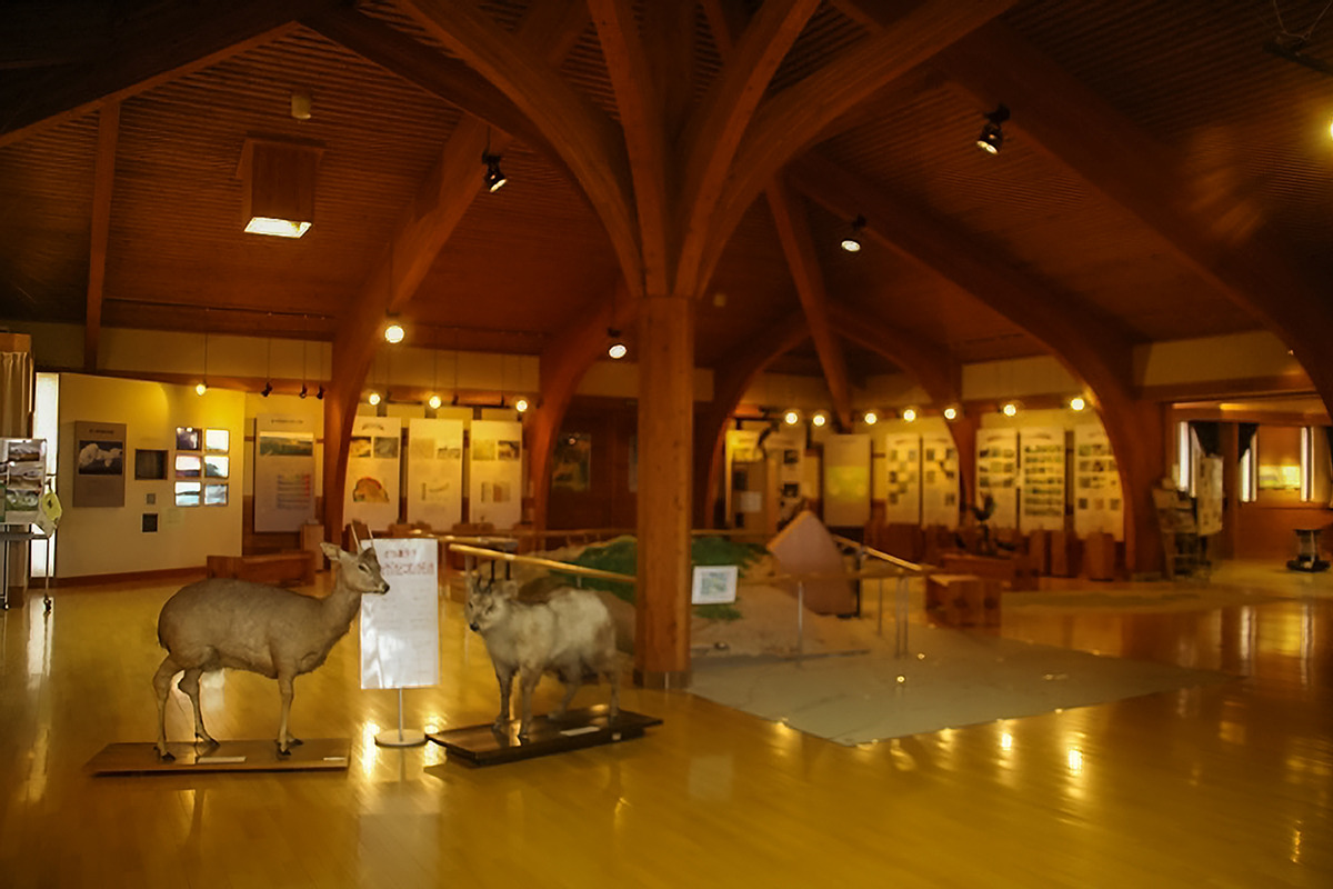 Exhibits inside the Nature Conservation Center.