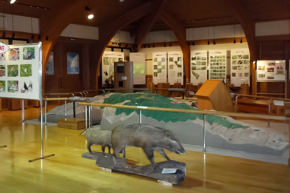 Learn more about local conservation efforts.