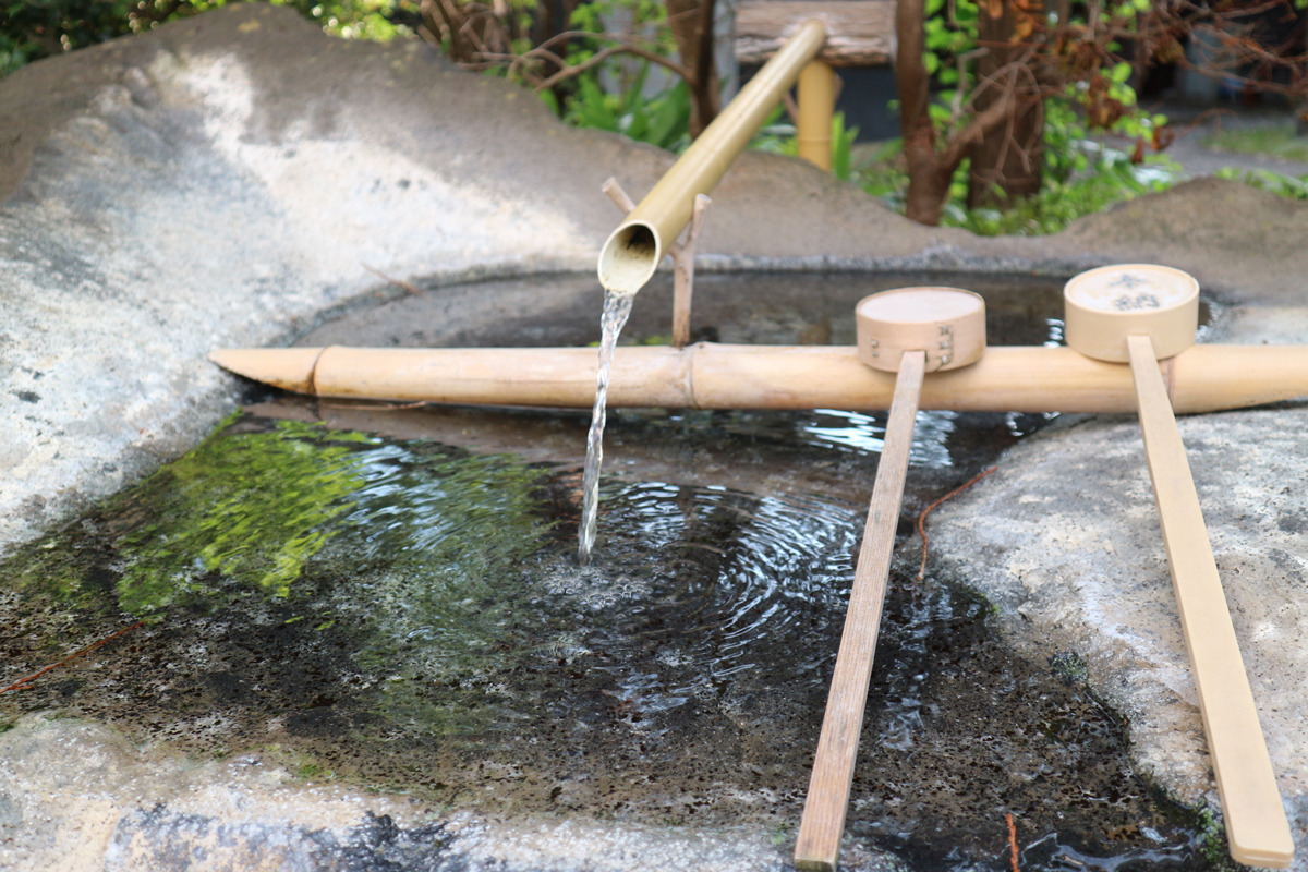 Sharing gratitude and respect for nature