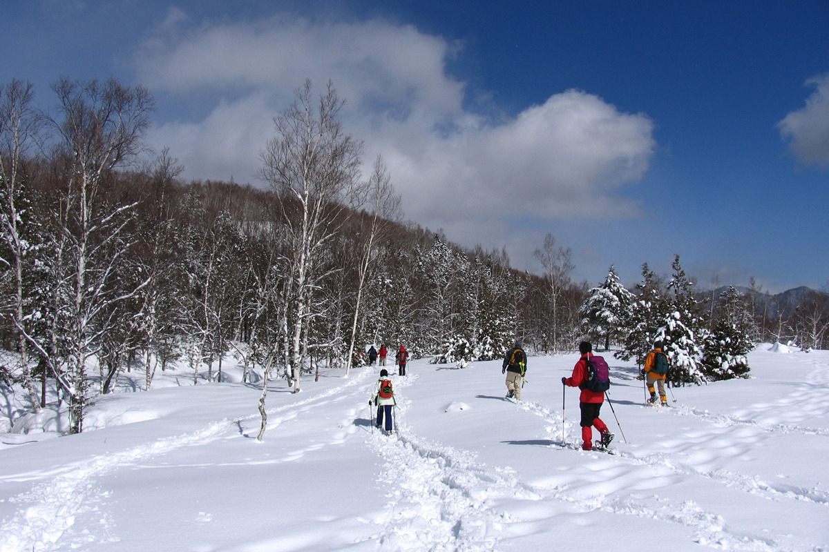 雪原をスノーシューでガイドと共に散策