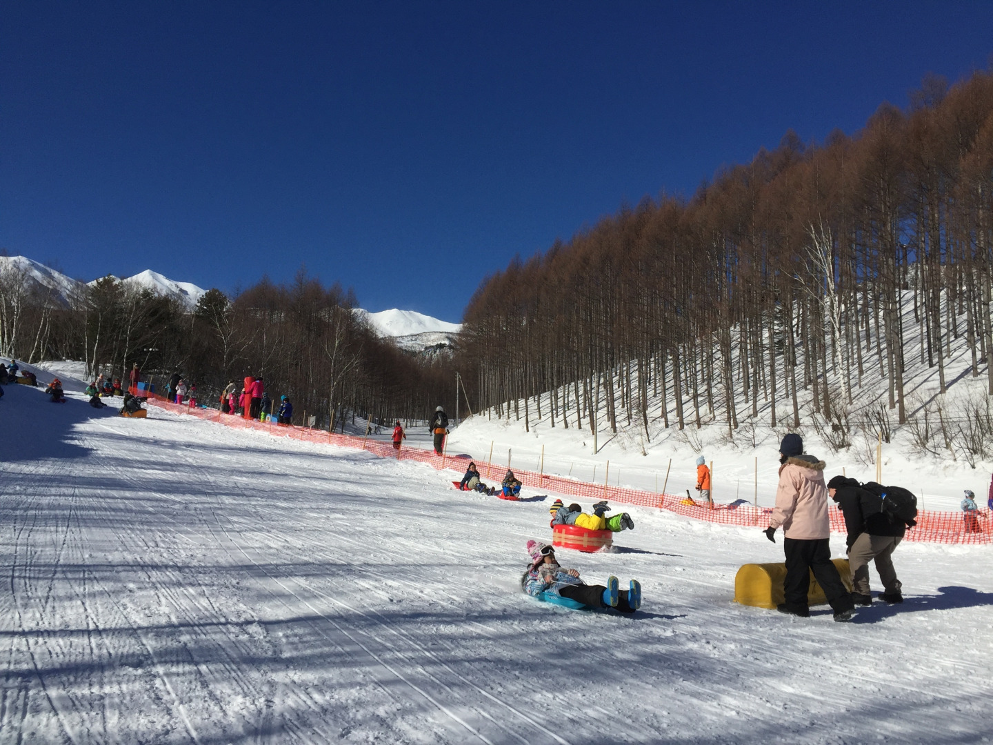 在寒冷之中體會靜謐與美麗，慢慢用五感享受的周遊路線。