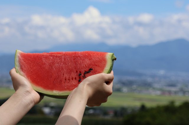 スイカ