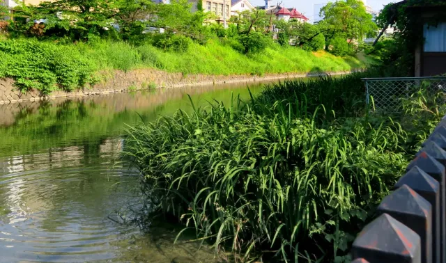 「お堀の水をたどる」ツアー・前編