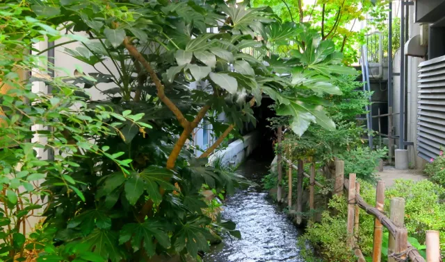 「お堀の水をたどる」ツアー・後編
