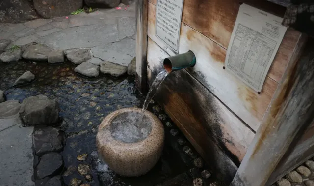 まつもと湧水巡り 「北馬場 柳の井戸 新しい柳を発見！」「葵の井戸」お城の北の井戸