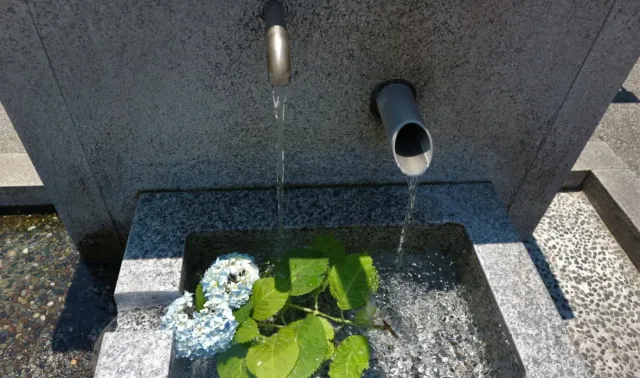 まつもと湧水巡り「蔵の井戸」城下町の名残り中町通りの「食い違い」