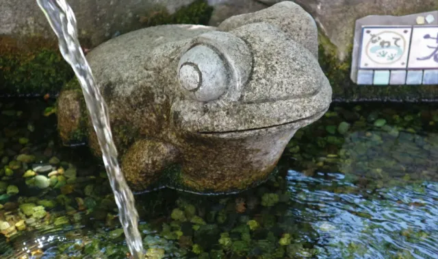まつもと湧水巡り「なわて若返りの水」ナワテ通りとかえるの話