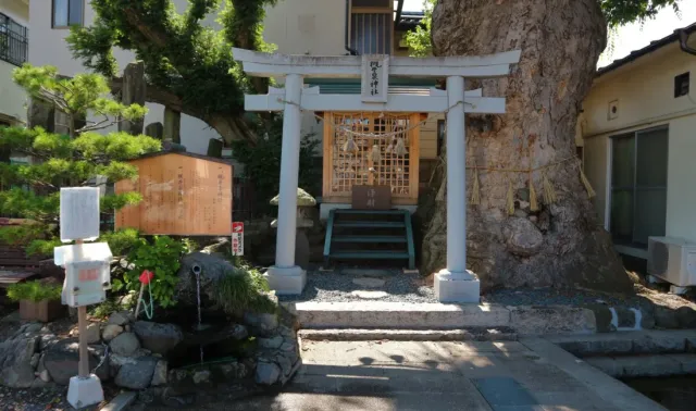 まつもと湧水巡り「槻井泉神社」と「湧水」と「欅」