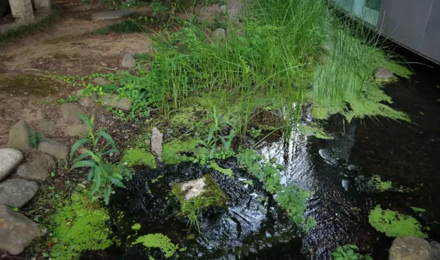 まつもと水巡り～まつもと市民芸術館周辺 今・むかし