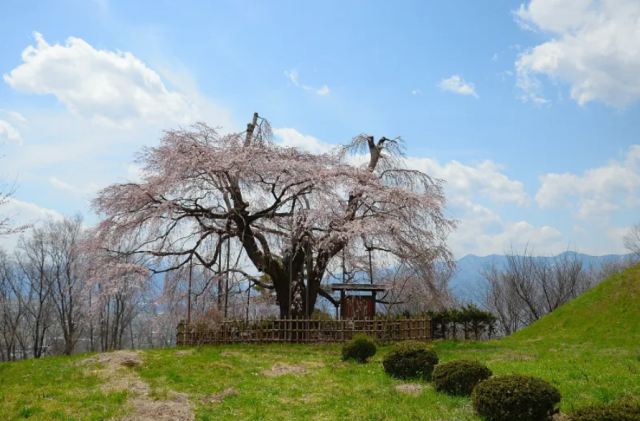 松本市アルプス公園