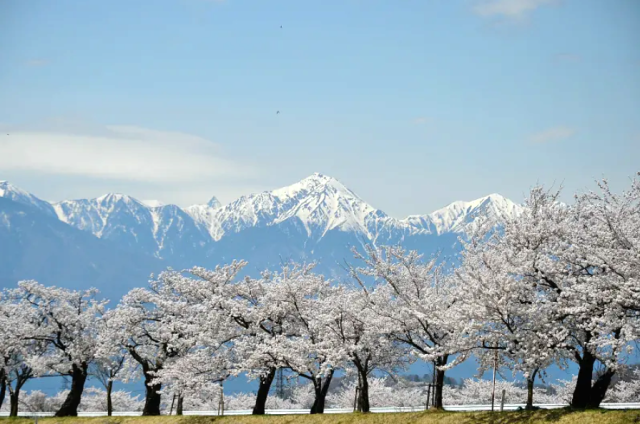 薄川(すすきがわ)堤防