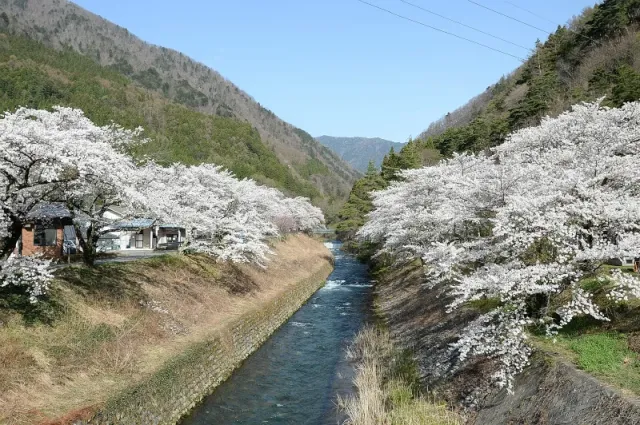 島々谷(徳本峠入口)