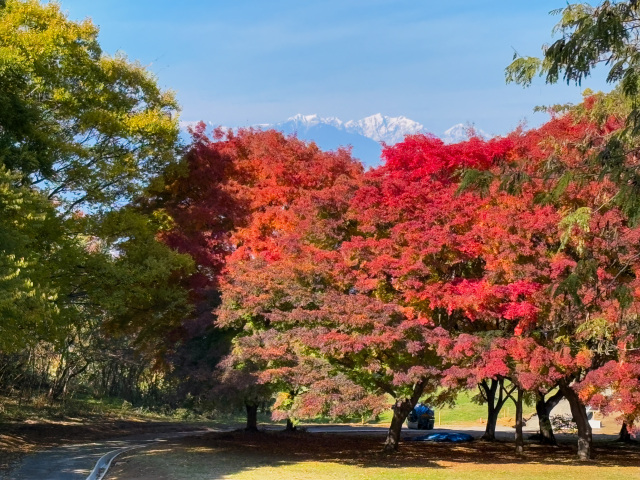 松本市アルプス公園