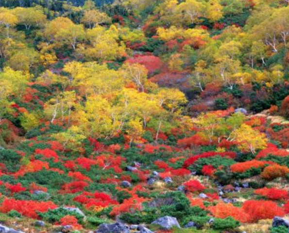 乗鞍岳(三本滝~位ヶ原)