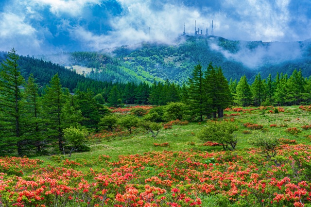 Utsukushigahara Highlands