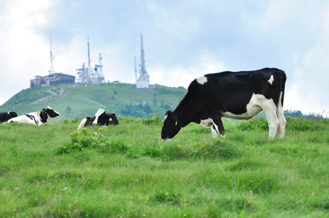Utsukushigahara Highlands