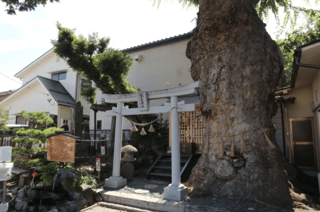 Tsukii Izumi Shrine and the Well