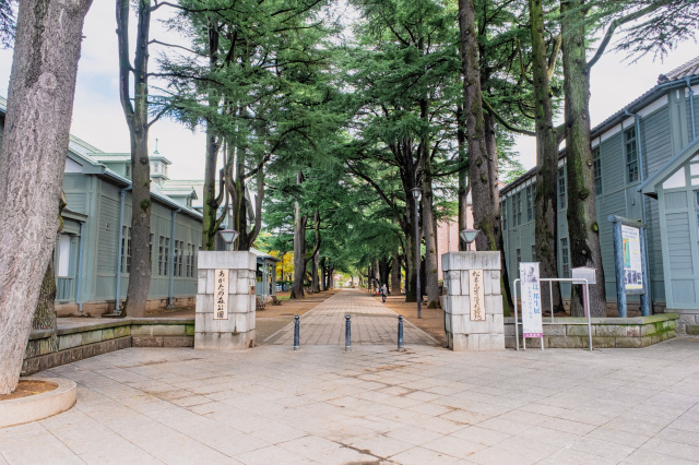 Agata Forest Park