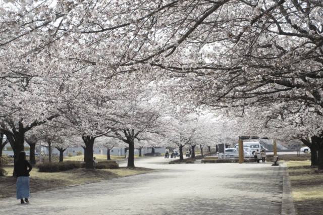 Matsumoto City Southwest Park